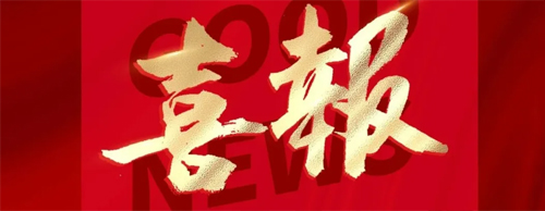 776net必赢官网电气同轴主辅高低压无刷同步发电机获国家授权发明专利！